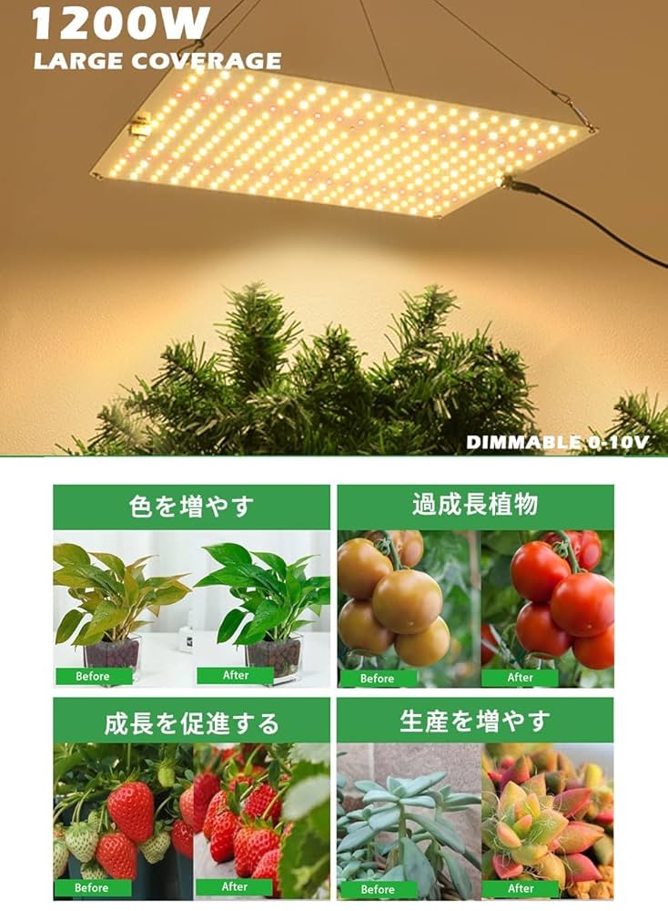 Amazon.co.jp: Aokson 植物育成ライト LED光合成ライト 1200W
